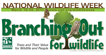 National Wildlife Week for Educators